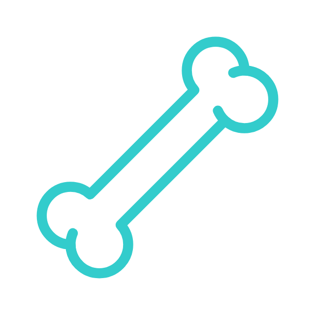 Orthopaedics & Joint Replacement