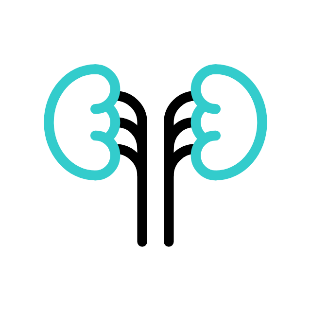 Kidney & Urology